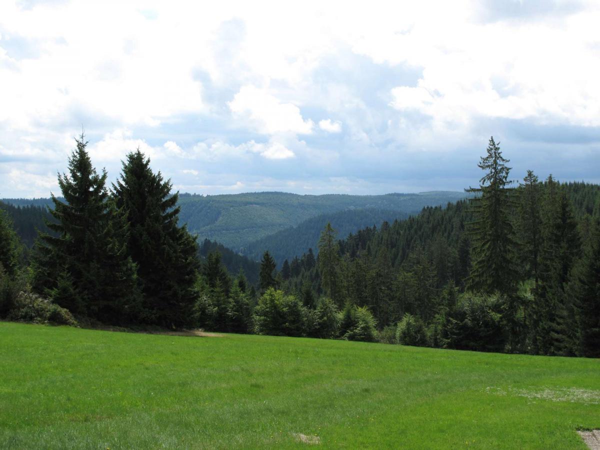 Nationalpark Schwarzwald